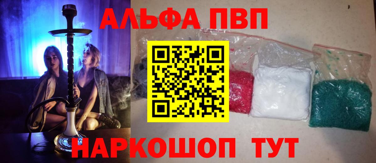 A PVP СК КРИС Новороссийск