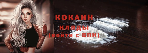 ECSTASY Алзамай