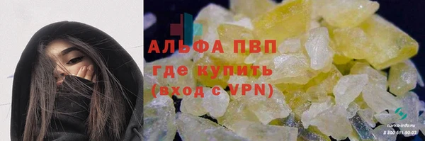ECSTASY Алзамай