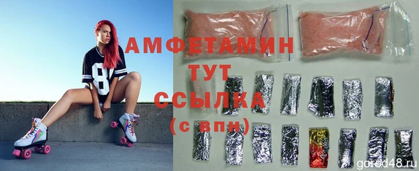 ECSTASY Алзамай
