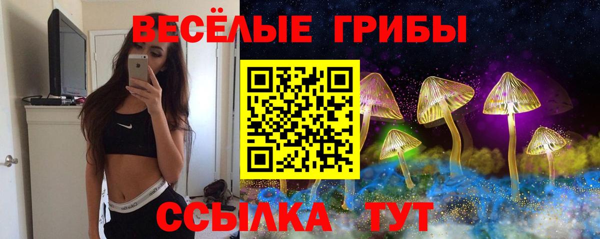 Псилоцибиновые грибы Magic Shrooms  Вход с VPN  Новороссийск  Псилоцибиновые грибы Psilocybe 